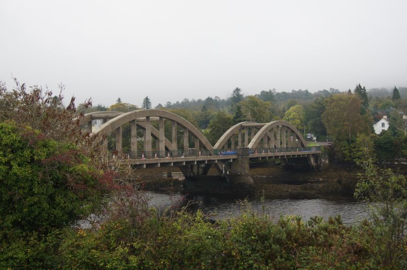 Viewing photos→2011→2011-10-01→045