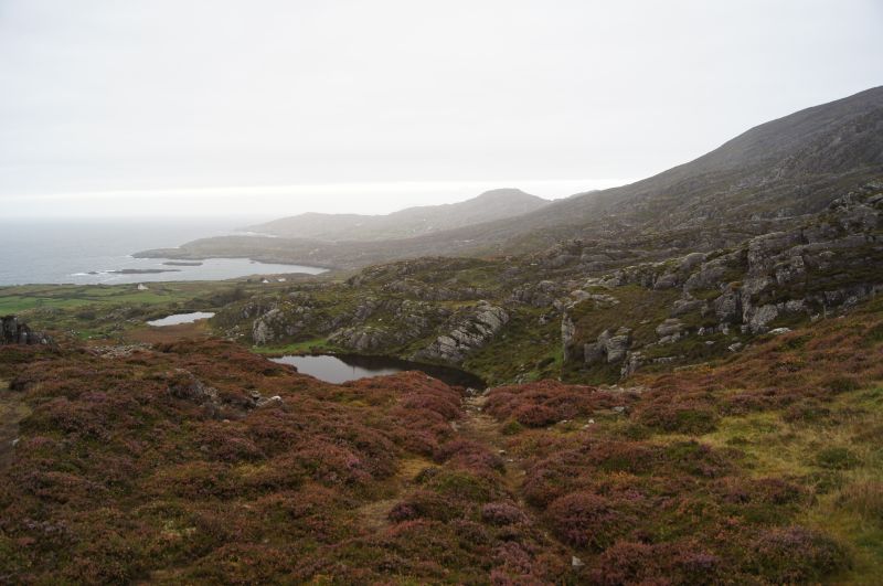 Viewing photos→2011→2011-10-01→073