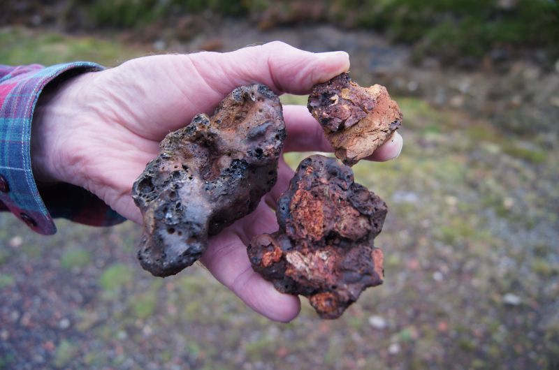 Viewing photos→2011→2011-10-01→082