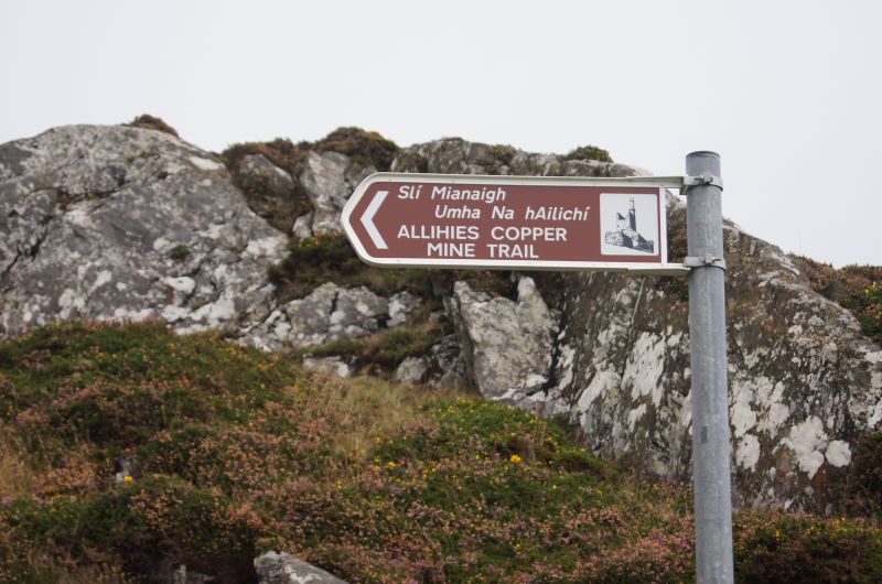 Viewing photos→2011→2011-10-01→089