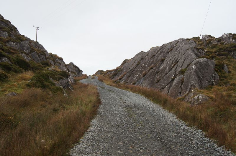 Viewing photos→2011→2011-10-01→094