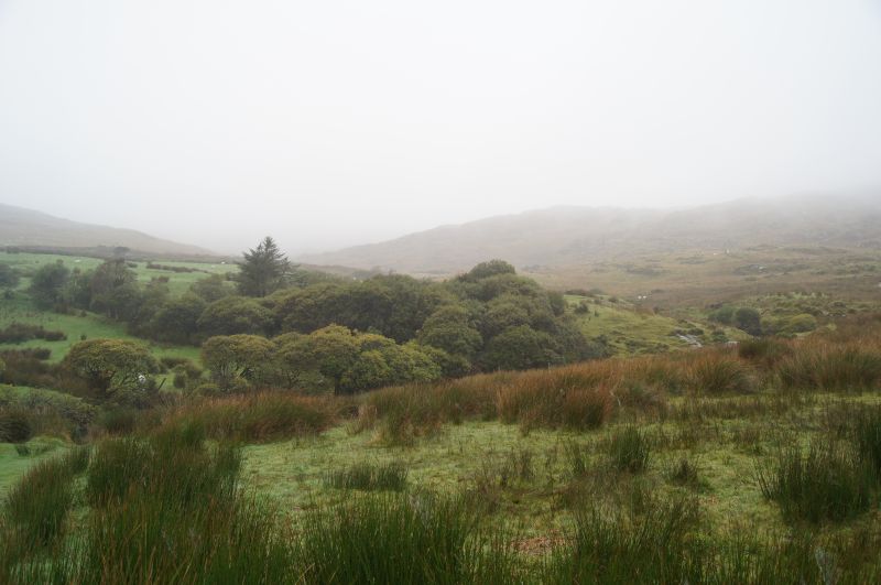 Viewing photos→2011→2011-10-01→123