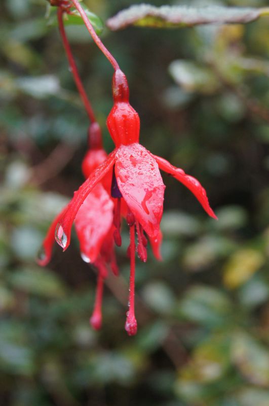 Viewing photos→2011→2011-10-01→125