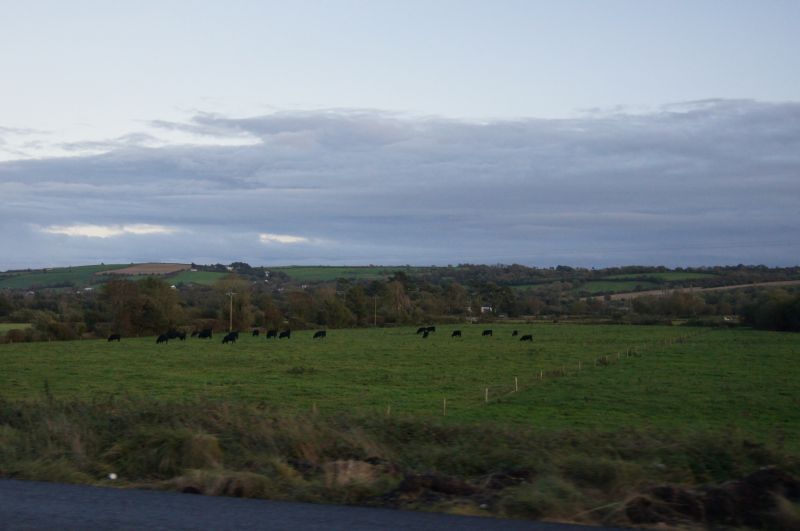 Viewing photos→2011→2011-10-01→202