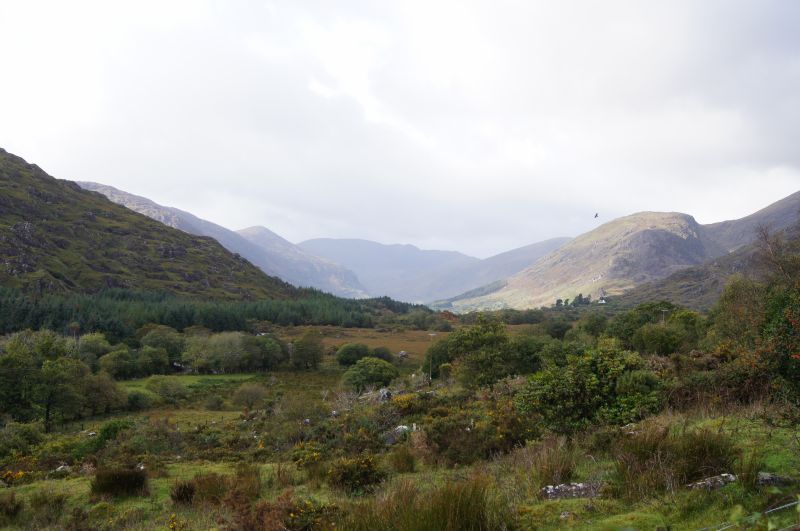 Viewing photos→2011→2011-10-01→206