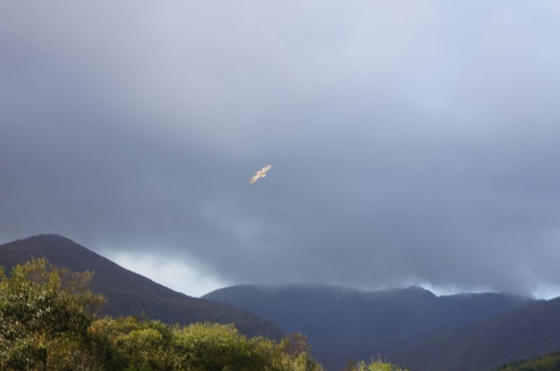 Viewing photos→2011→2011-10-01→212