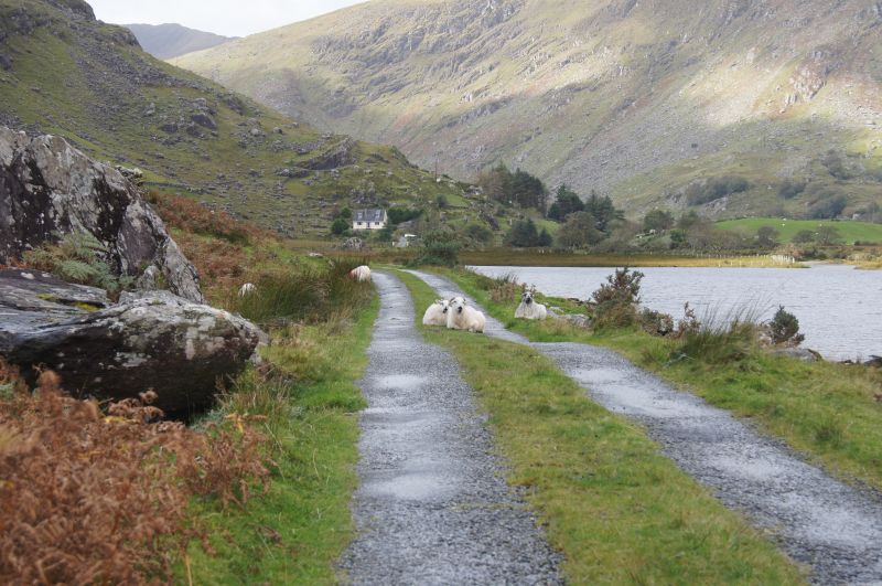 Viewing photos→2011→2011-10-01→214