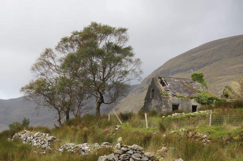 Viewing photos→2011→2011-10-01→217