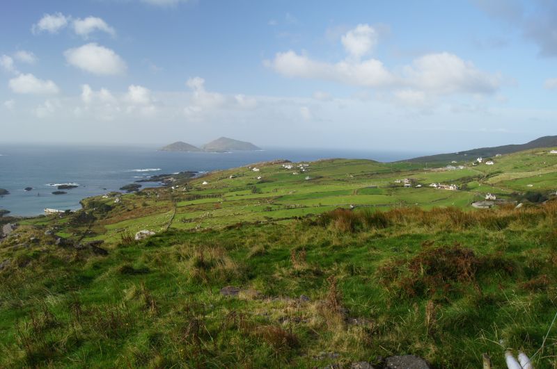 Viewing photos→2011→2011-10-01→250