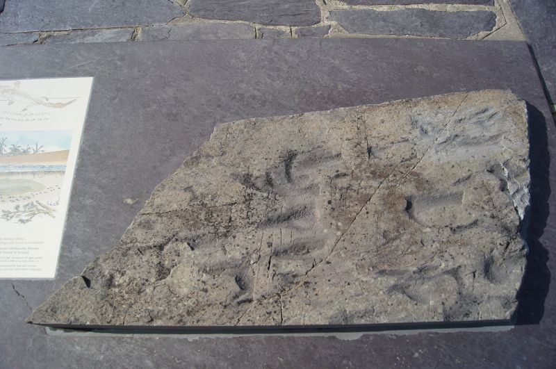 Viewing photos→2011→2011-10-01→280