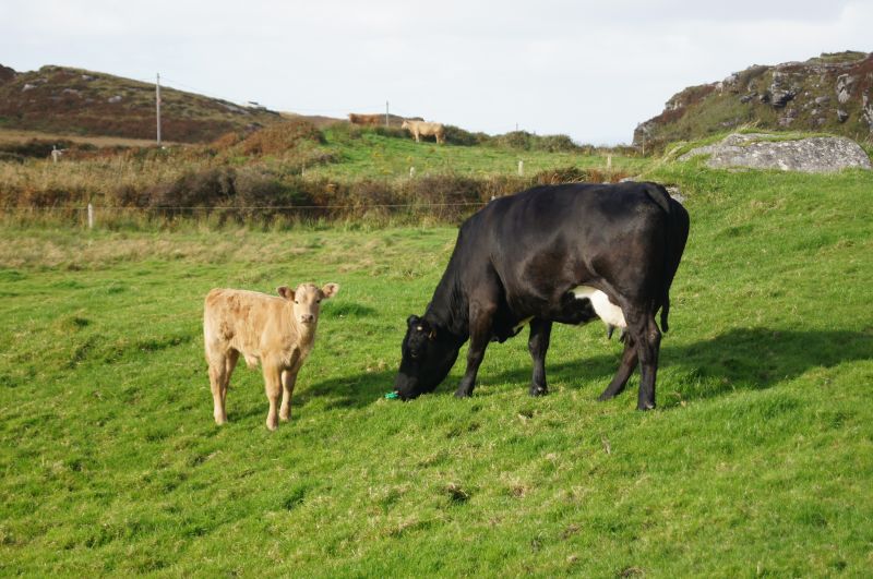 Viewing photos→2011→2011-10-01→297