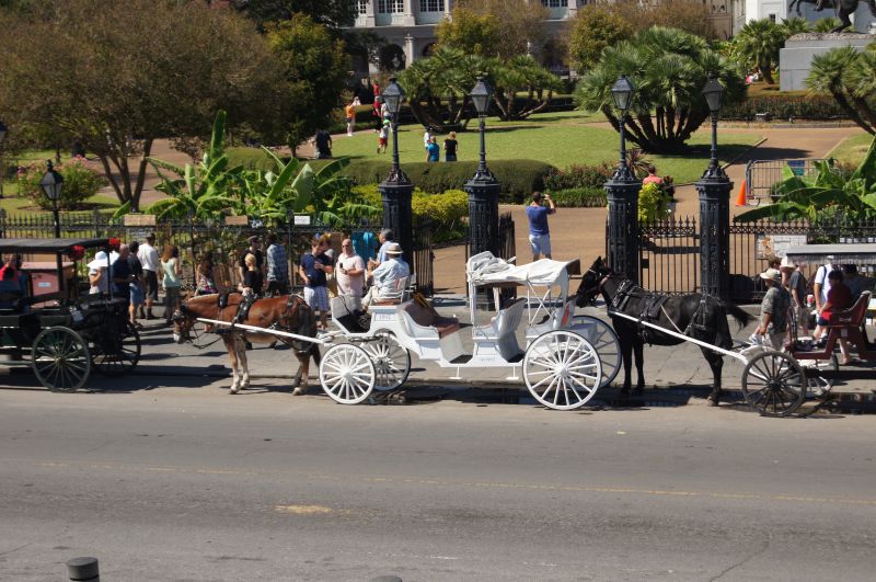 Viewing photos→2011→2011-10-15→042