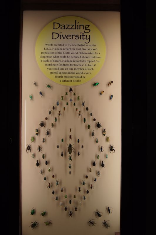 Viewing photos→2011→2011-10-15→121