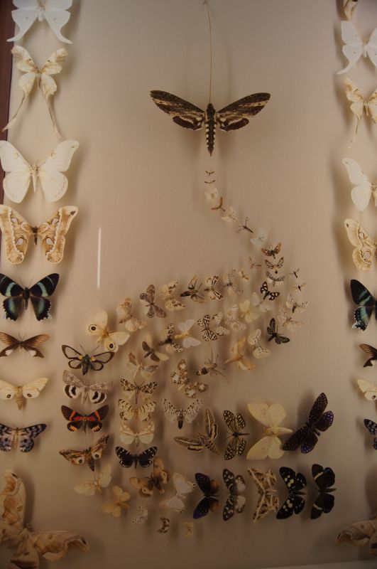 Viewing photos→2011→2011-10-15→123