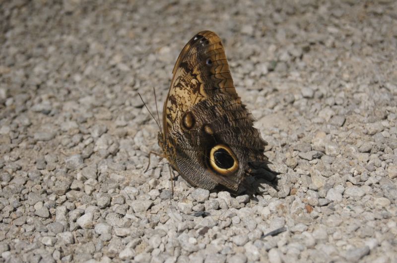 Viewing photos→2011→2011-10-15→126