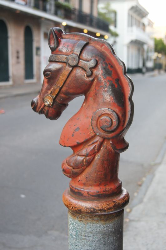 Viewing photos→2011→2011-10-15→133