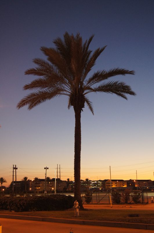 Viewing photos→2011→2011-10-15→189