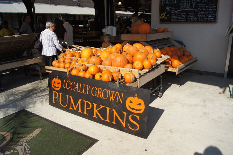 Viewing photos→2011→2011-10-15→260