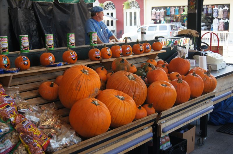 Viewing photos→2011→2011-10-15→273