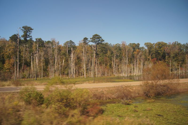 Viewing photos→2011→2011-10-25→25