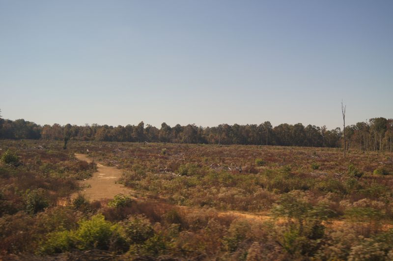 Viewing photos→2011→2011-10-25→41