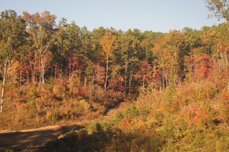 Viewing photos→2011→2011-10-25→73