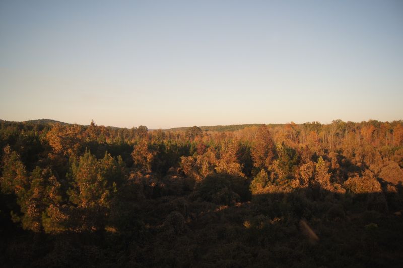 Viewing photos→2011→2011-10-25→76