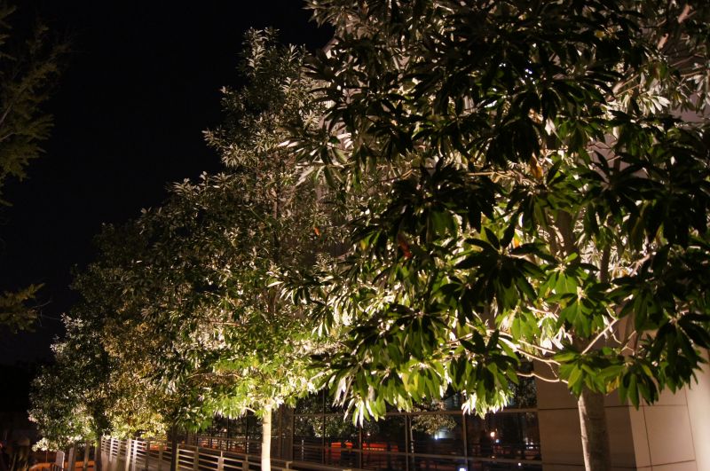 Viewing photos→2011→2011-10-26→115