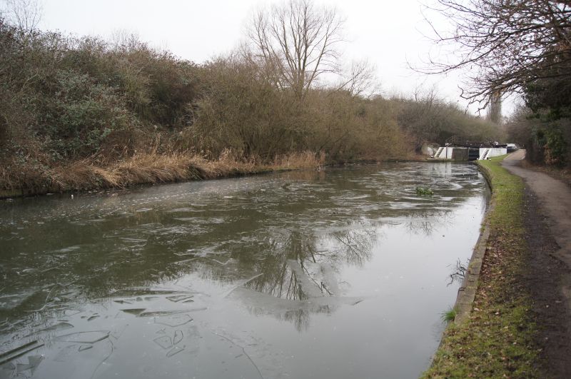 Viewing photos→2012→2012-02-12→02