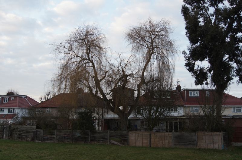 Viewing photos→2012→2012-02-12→11