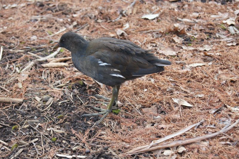 Viewing photos→2012→2012-02-14→01