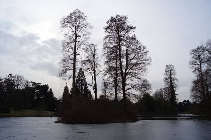 Viewing photos→2012→2012-02-14→02