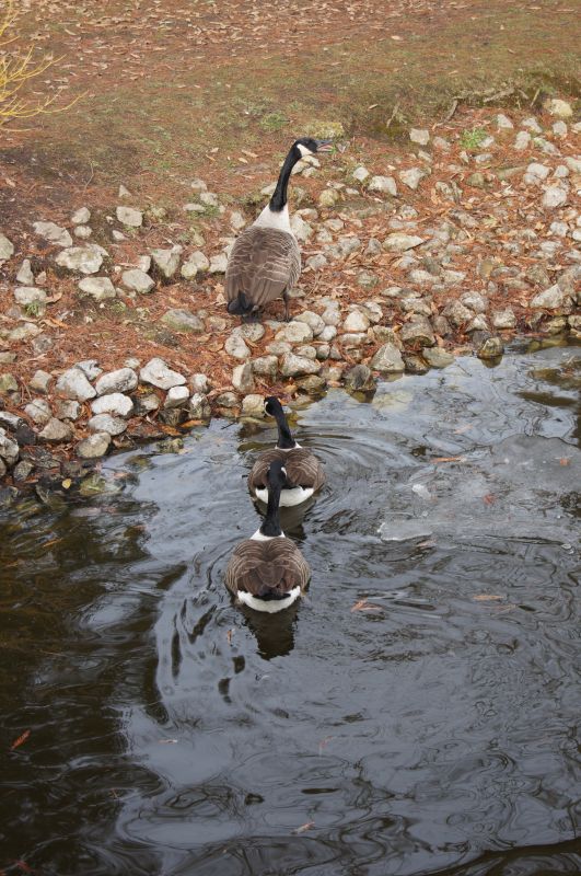 Viewing photos→2012→2012-02-14→04