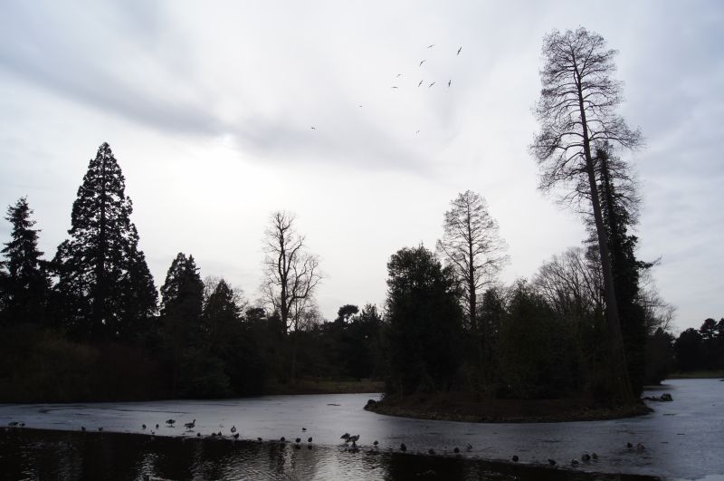 Viewing photos→2012→2012-02-14→07