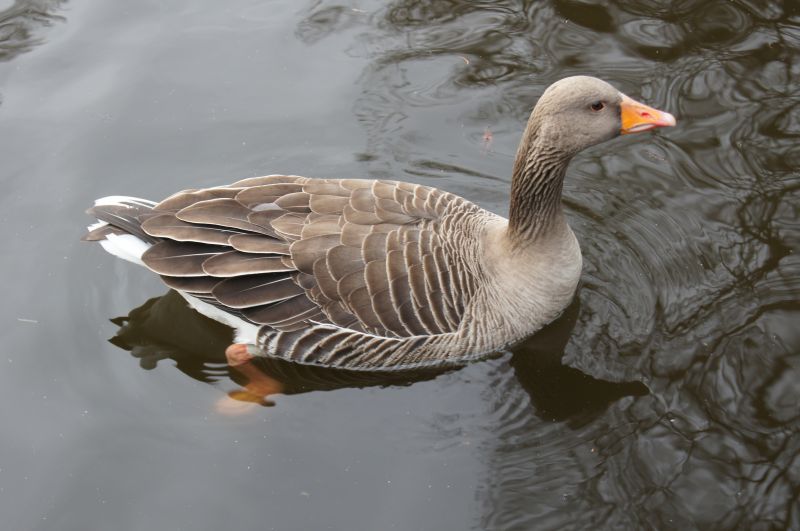 Viewing photos→2012→2012-02-14→09