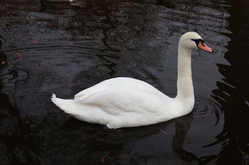 Viewing photos→2012→2012-02-14→10