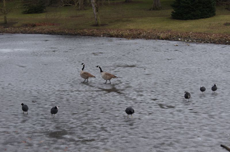 Viewing photos→2012→2012-02-14→11