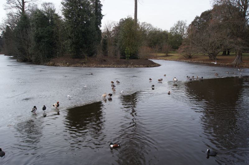 Viewing photos→2012→2012-02-14→15