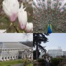 2012-03-20<br/>
<b>Kew: March 2012</b>
