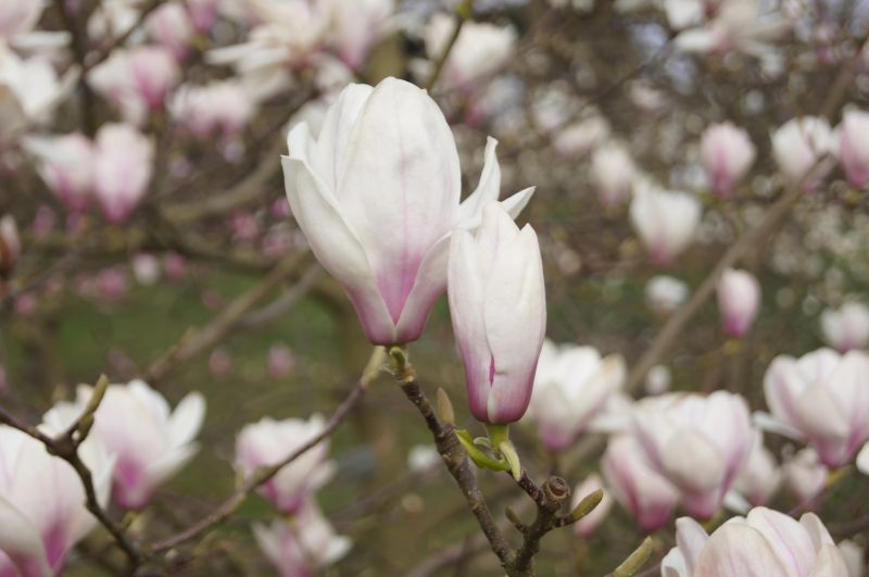 Viewing photos→2012→2012-03-20→03