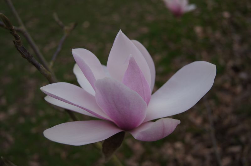 Viewing photos→2012→2012-03-20→04