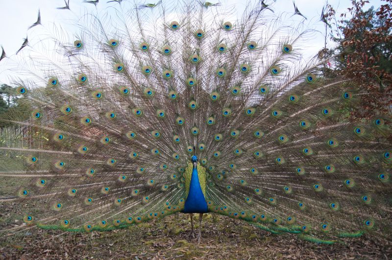 Viewing photos→2012→2012-03-20→05