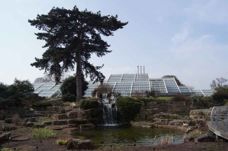 Viewing photos→2012→2012-03-20→09