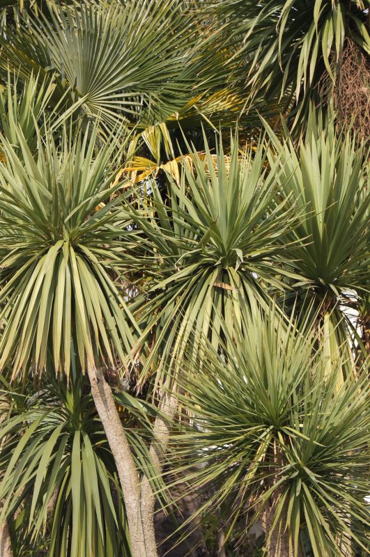 Viewing photos→2012→2012-03-20→14