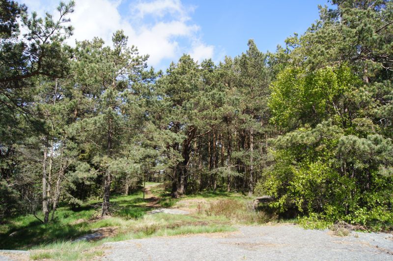 Viewing photos→2012→2012-05-12→28