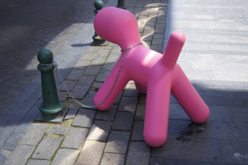 Viewing photos→2012→2012-07-23-2→23