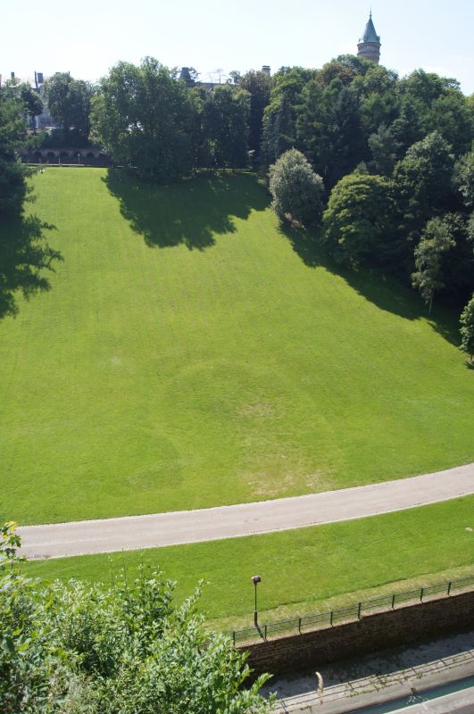 Viewing photos→2012→2012-07-25→08