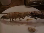 027.jpg - 2012:10:19 10:02:12