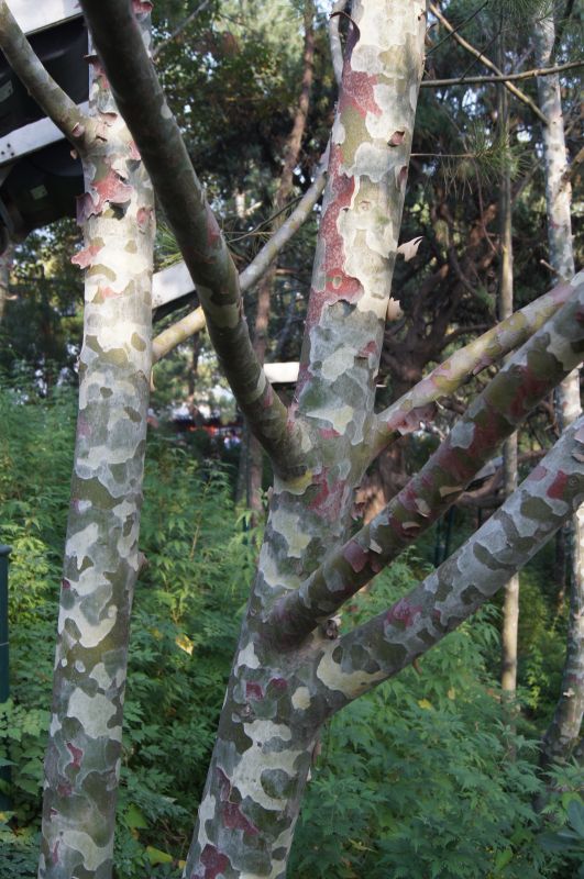 Viewing photos→2012→2012-10-19→094