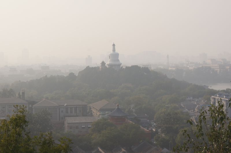 Viewing photos→2012→2012-10-19→101